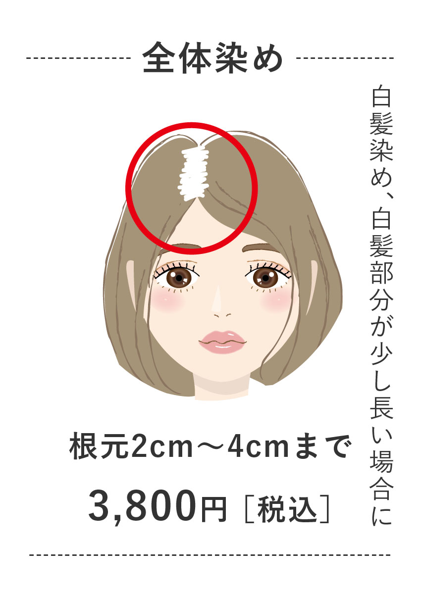 根元2cm~4cmまで